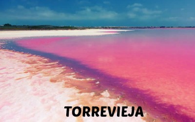 Torrevieja, descubre su cultura. Más que sol y playa